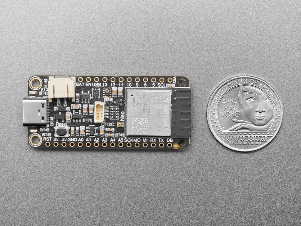 The board next to a US quarter for scale